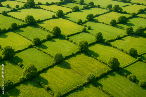 Sunny Fair Meadow Landscape – Bright Summer Field with Green Grass and Blue Sky

