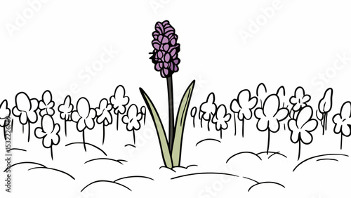 Vintage Black and White vibrant purple hyacinth stands tall among field of white flowers, creating striking contrast