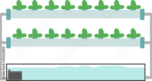 Hydroponic Illustration