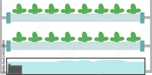 Hydroponic Illustration