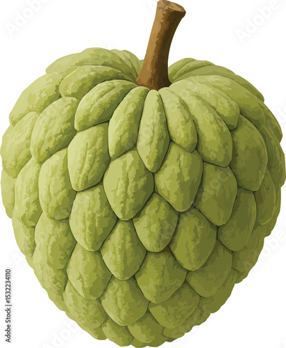 Custard Apple