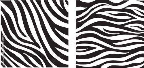 Striped zebra design vector illustration of a zebra