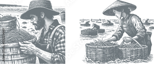 Set of Vintage Woodcut Style Illustrations of Seaweed Farmer Harvesting on Coastal Shore with Woven Baskets, Antique Postage Stamp Design, Hand-Drawn Ocean Scene Engraving