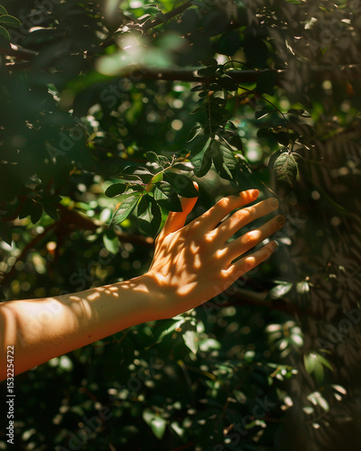 
A single outstretched arm reaching into soft sunlight, dappled shadows of leaves dancing on the skin, cropped frame with no face, calm and poetic atmosphere, gentle summer energy