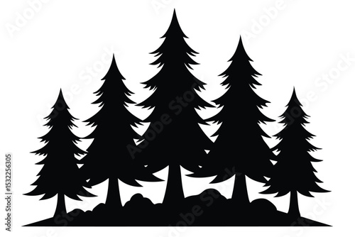 Silhouetted evergreen trees winter forest landscape