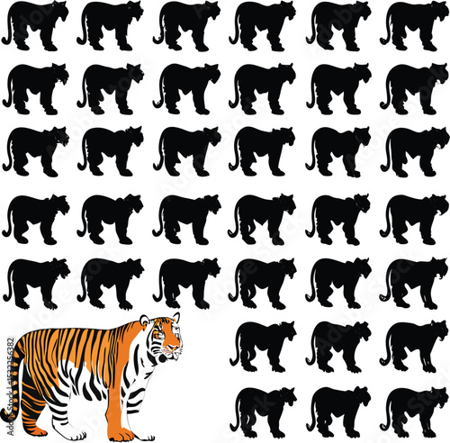 Tiger and silhouettes of tigers on white background illustration