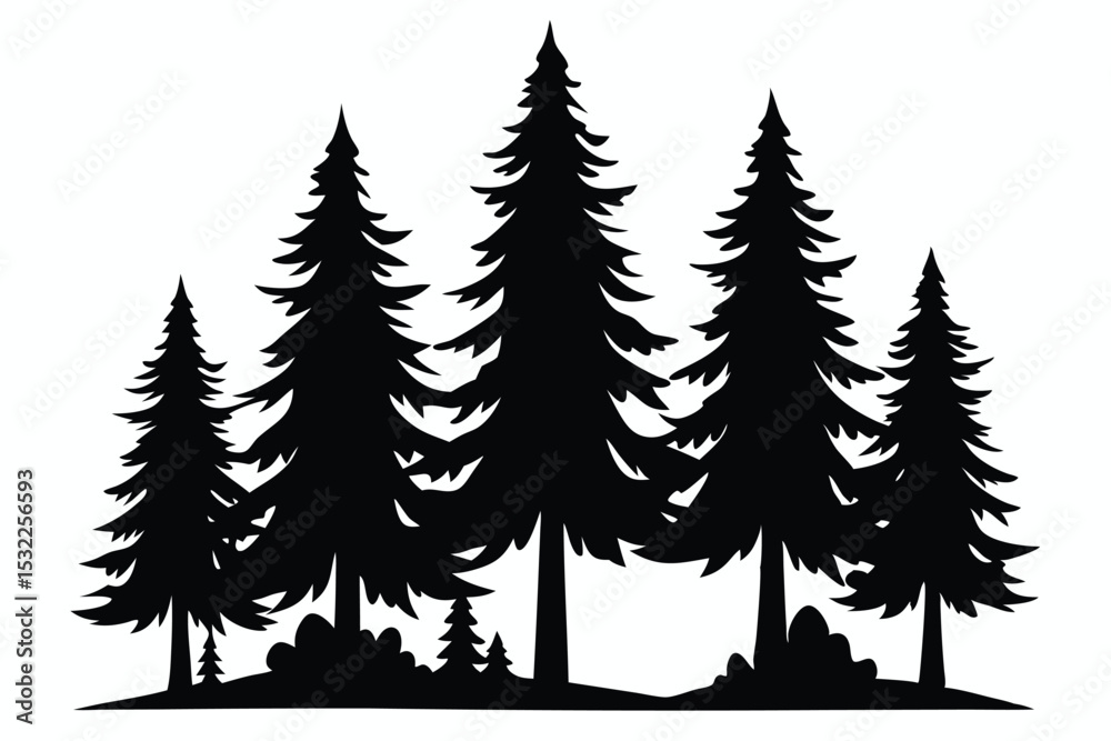 Obraz premium Majestic silhouette of evergreen trees in a forest