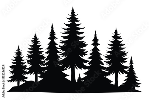 Silhouetted evergreen trees forest winter landscape