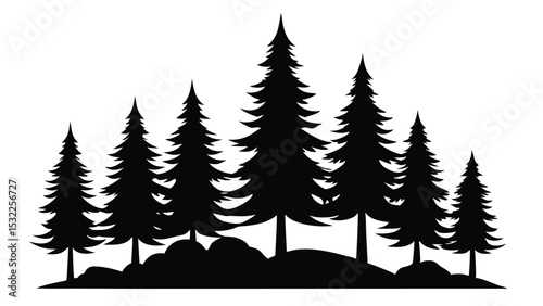 Silhouetted evergreen trees on a hillside