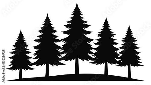 Silhouetted evergreen trees on a hilltop