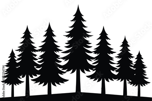 Silhouetted pine trees forest winter landscape nature