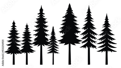 Silhouettes of evergreen trees in a forest scene