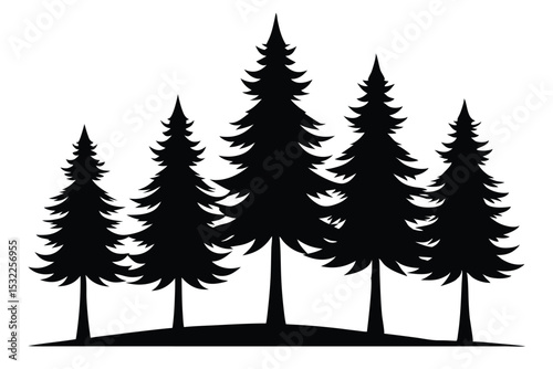 Silhouettes of five evergreen trees on a hill