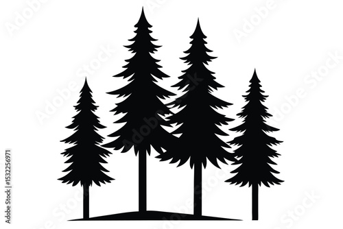 Silhouettes of evergreen trees in a forest setting