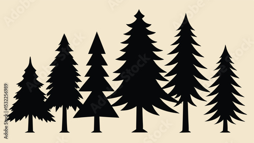 Silhouettes of pine trees in a forest scene