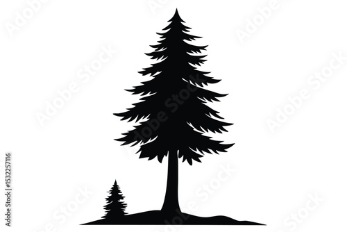 Tall evergreen tree silhouette with small sapling