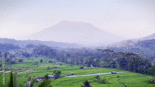 Scenic Rice Fields with Mount Agung in the Background, Bali