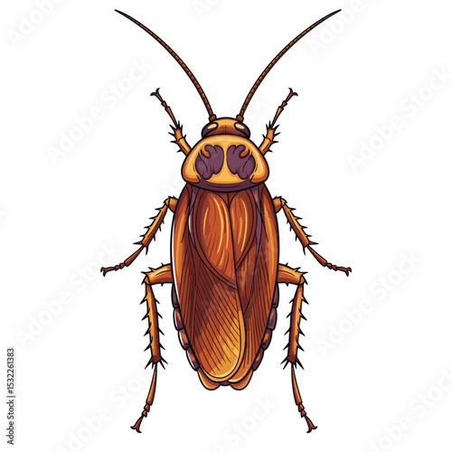 Single American Cockroach Specimen Isolated on a Clean White Background