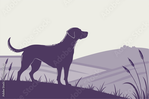 Labrador Stillness: Back View Silhouette Art