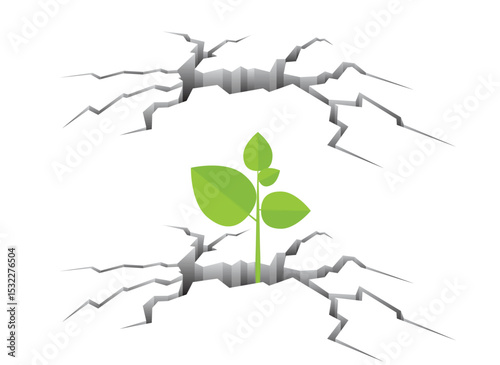 A vibrant green sprout grows through cracks in the ground, symbolizing resilience, hope, and new beginnings. Nature perseveres against the odds.