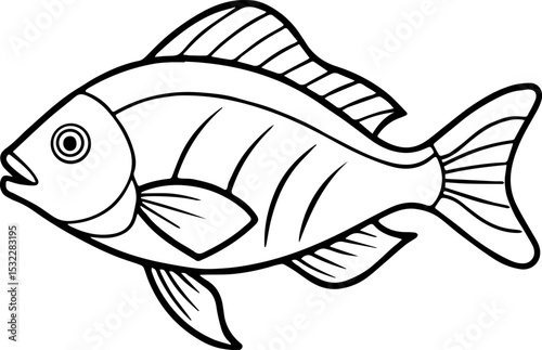 bream fish outline vector illustration line art