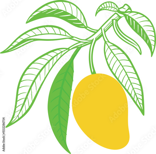 Mango with leaves. Exotic fruit. Isolated mango vector icon on white background