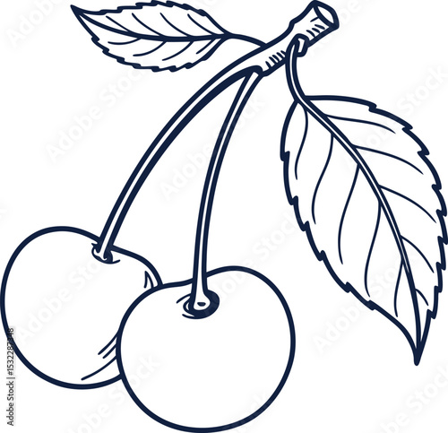 Outline vector icon of cherry with leaf