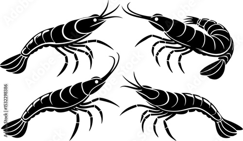 Vector silhouette of a couple of shrimps on a white background. Symbol of ocean animal