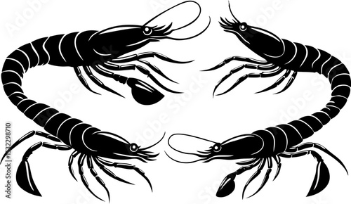 Vector silhouette of a couple of shrimps on a white background. Symbol of ocean animal