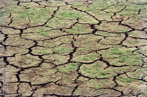 drought cracked earth water shortage