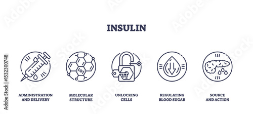 Insulin is depicted with icons of a syringe, molecular structure, and pancreas, illustrating its role in delivery, cellular action, and blood sugar regulation. Outline icons set