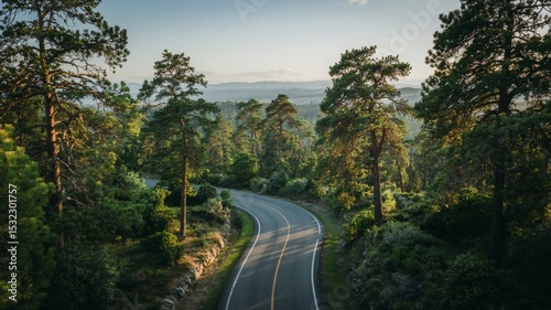 Scenic winding road through lush green forest at sunset