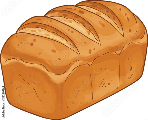 Freshly Baked Loaf of Golden Brown Bread Isolated on White