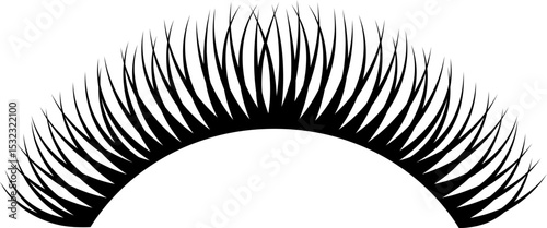 Beautiful Eyelash Extentions Illustration
