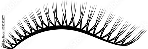 Beautiful Long Eyelash Extentions Illustration