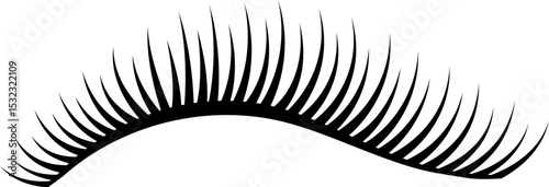 Beautiful Real Eyelash Extentions Illustration