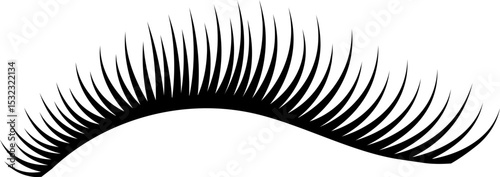 Beautiful Real Eyelash Extentions Illustration