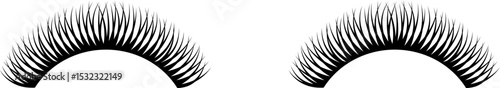 Pair of Eyelash Extentions Illustration