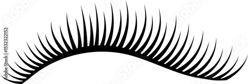 Beautiful Real Eyelash Extentions Illustration