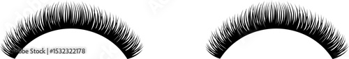 Pair of Eyelash Extentions Illustration
