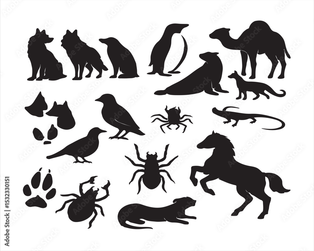 Obraz premium silhouettes of animals