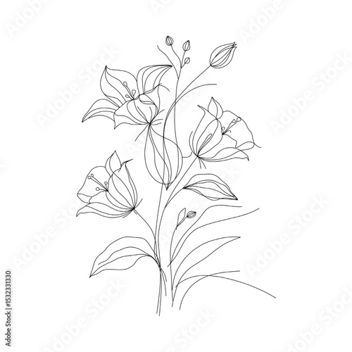 Bellflower continuous one line art vector minimalist botanical floral illustration