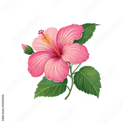 Image is a digital illustration featuring a vibrant pink hibiscus flower with five large petals. The petals are detailed with lighter pink highlights and subtle shading, giving them a three-dimension