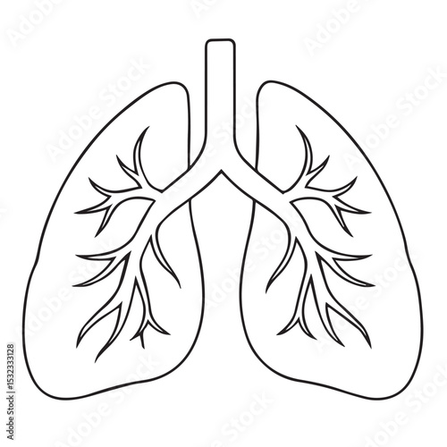 Human Lungs Line Drawing – Medical Vector Illustration of Respiratory System