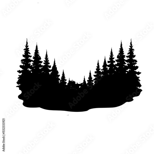 winter forest background