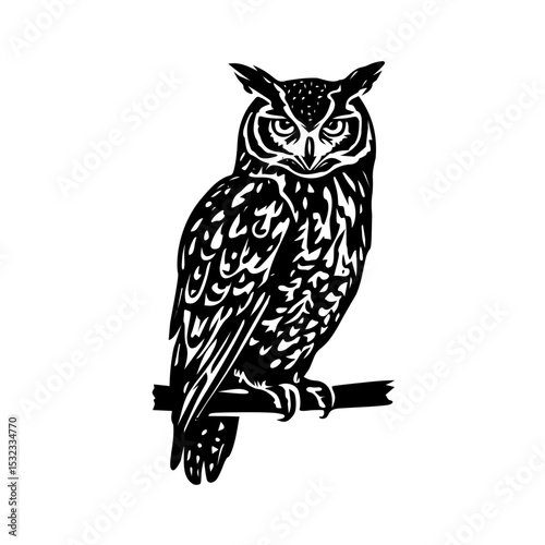 owl on a branch