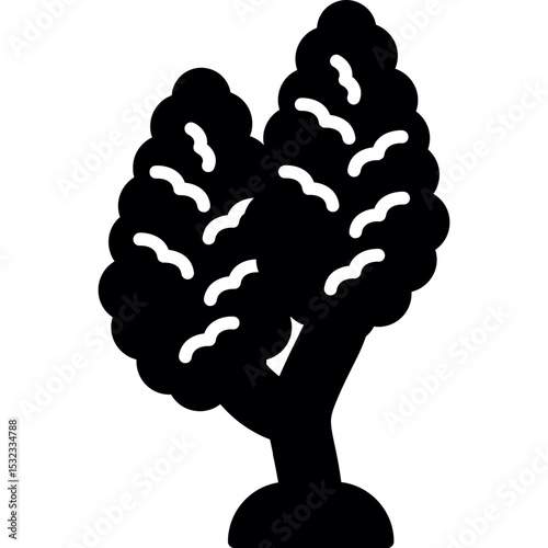 Kalleri Pear Tree Icon