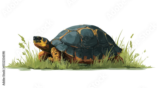 Digital painting of a yellow-footed tortoise in a grassy environment. The tortoise is centrally positioned, showcasing its dark carapace with yellow markings and visible plastron.