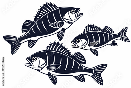 Black Perch Collection
