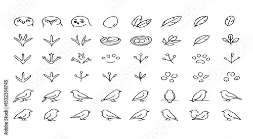 A collection of bird related sketches including birds, eggs, feathers, and bird foot prints in black and white